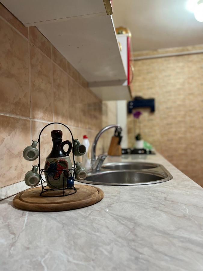 Noreea Central Apartment Тімішоара Екстер'єр фото